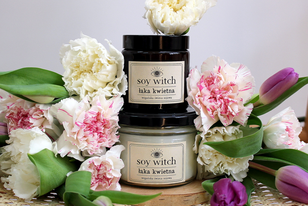 Plant lovers gotowi na wiosnę? Kwiecień wzywa do przygotowań! 5 IMG 1441 002