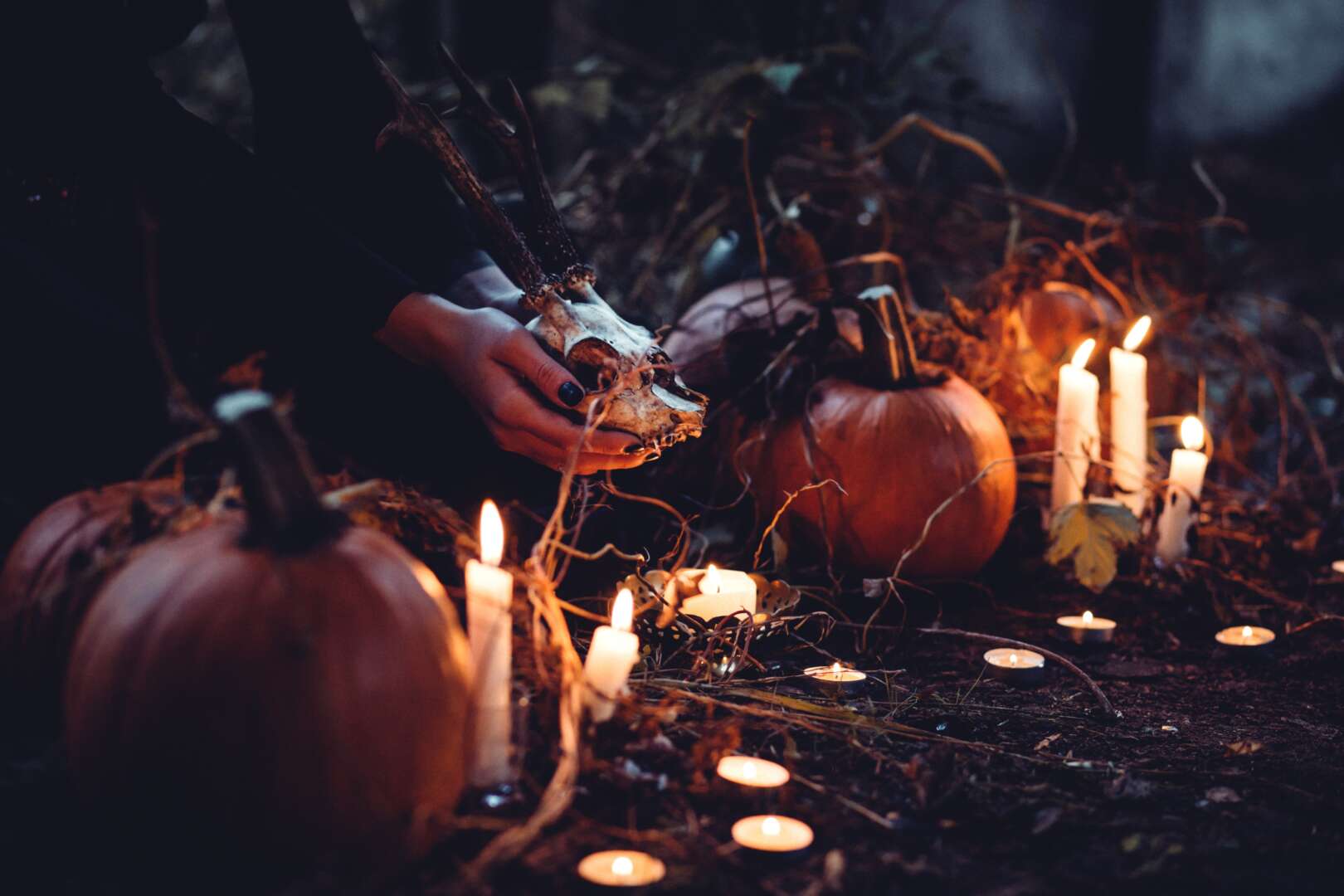 Tradycje - Halloween